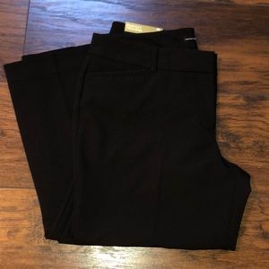 Black, Bootcut Slacks